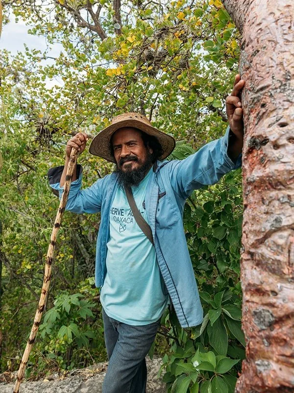 anfitrion hierve agua