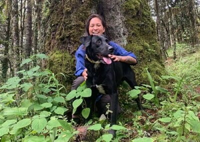 oaxaca travel with pets