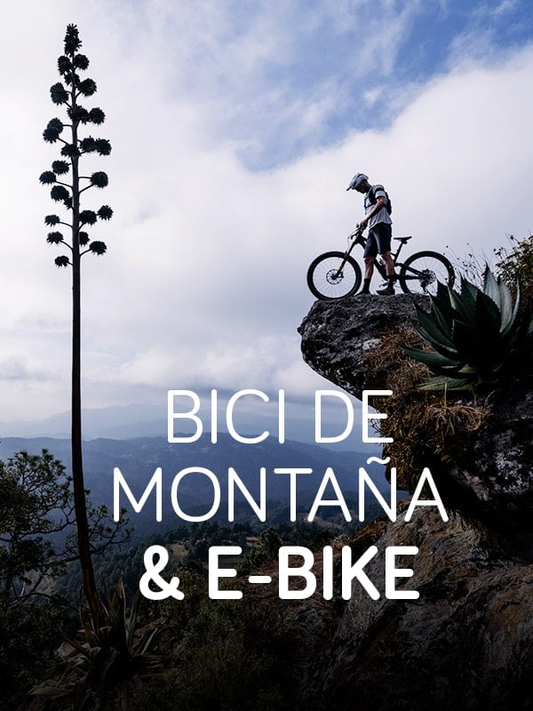 bici montana ebike