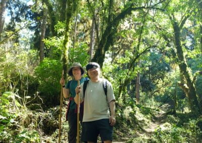 caravana canina hike