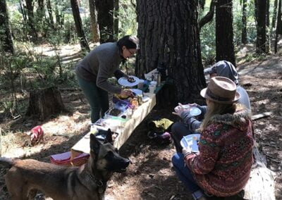 caravana canina lunch