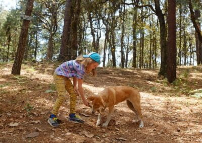 caravana canina oaxaca coyote
