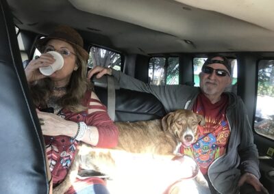 caravana canina transportation