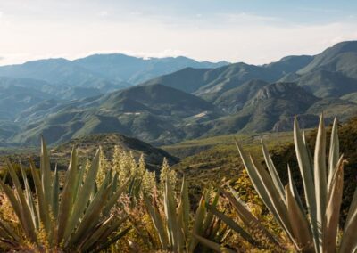 hierve agua mezcal 36