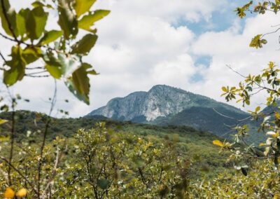 hierve agua mezcal 44