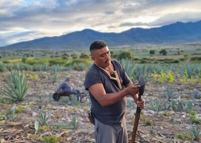 hierve agua mezcal 9