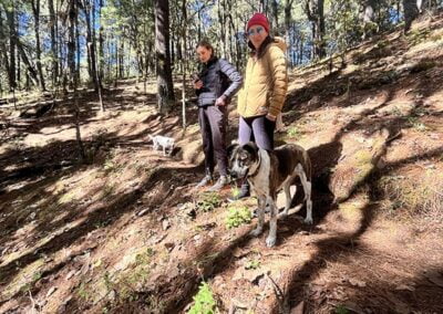 hike ixtepeji rescue dogs