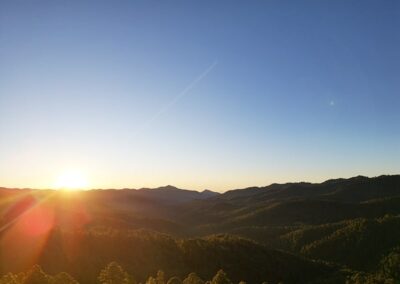 retreat mushrooms forest sunrise