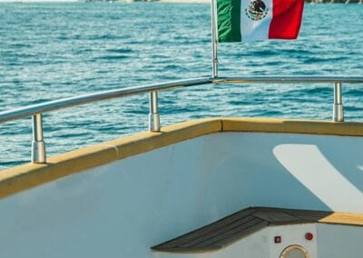 mexican flag 1