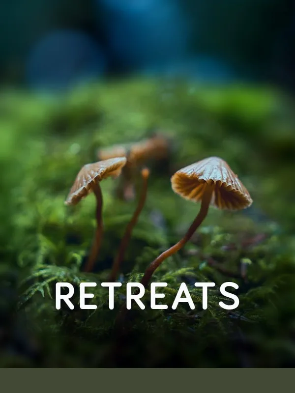 retreats