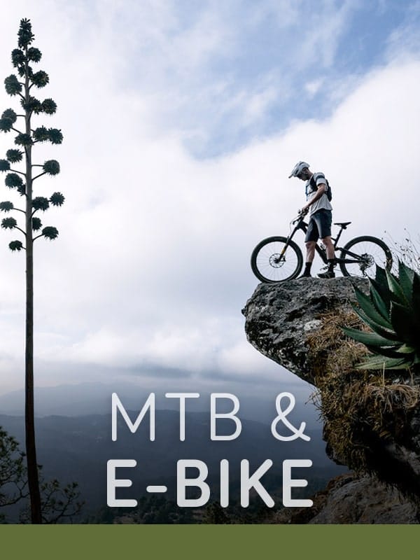 mtb ebike