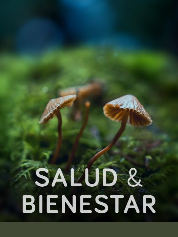 salud bienestar