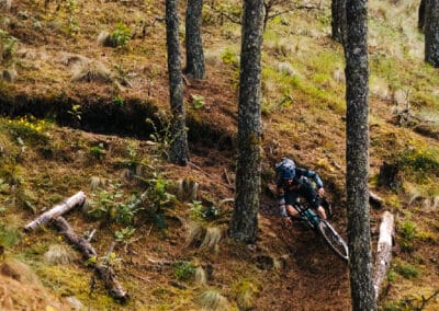 mtb theworld oaxaca galeria enduro tour descent forest