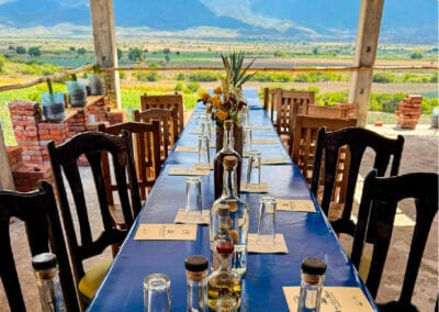 simply oaxaca gallery tour mezcal tasting dinning