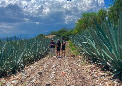 hierve el agua mas mezcal oaxaca tour gallery 3