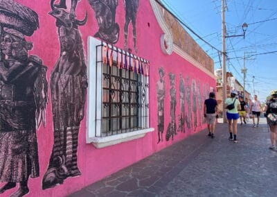 street art bike ride oaxaca tour gallery 6