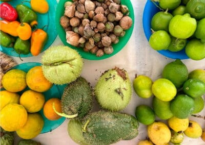 oaxaca city tour gallery 13