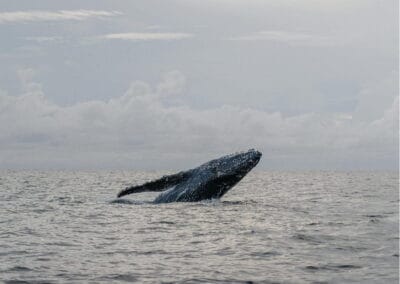 mazunte ventanilla oaxaca tour gallery 1
