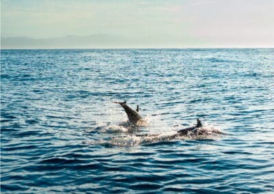 mazunte ventanilla oaxaca tour gallery 14