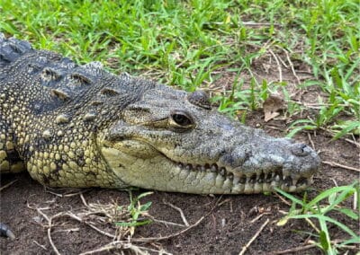 mazunte ventanilla oaxaca tour gallery 2