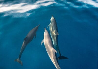 mazunte ventanilla oaxaca tour gallery 8