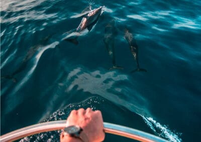 mazunte ventanilla oaxaca tour gallery 9