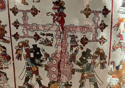 monte alban experience oaxaca tour gallery 2